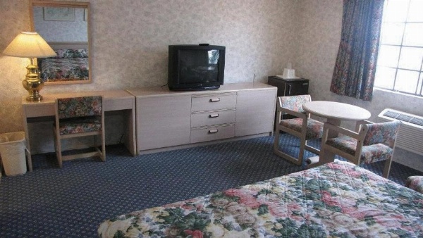 نيسي إن image 21