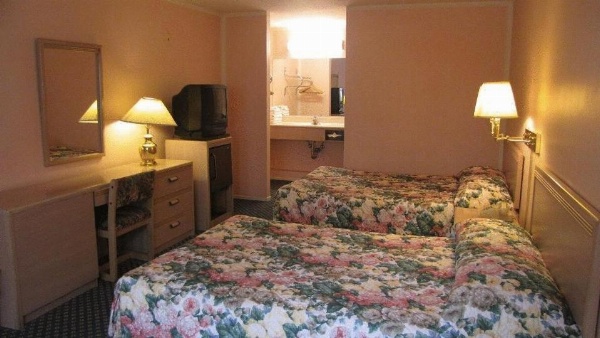 نيسي إن image 4